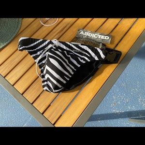 Addicted Zebra brief